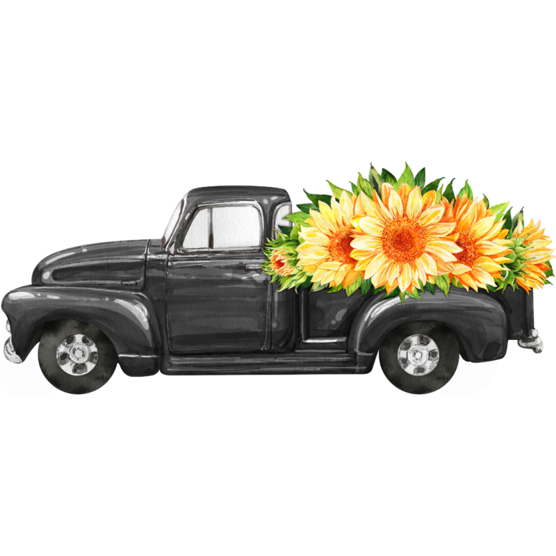 Home Kansas Sunflower Swapmeet for Charity